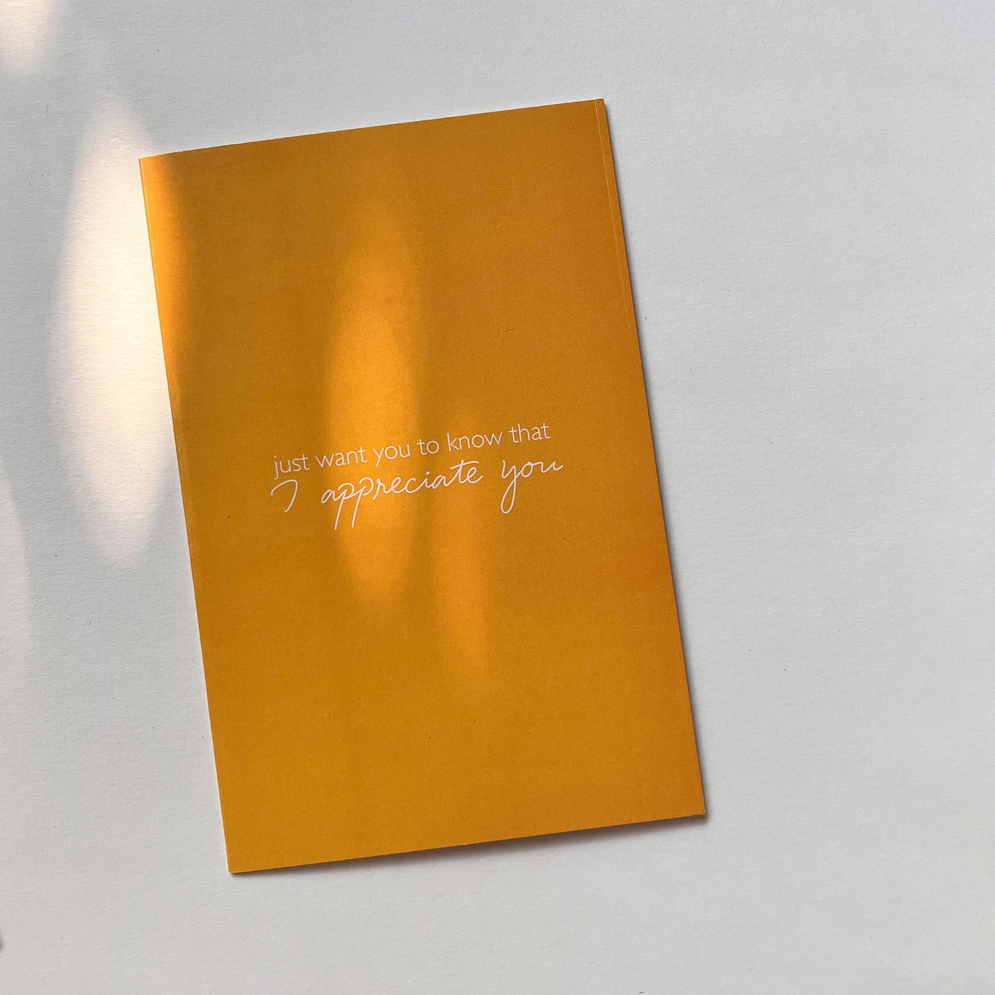 Just Want You To Know: I Appreciate You