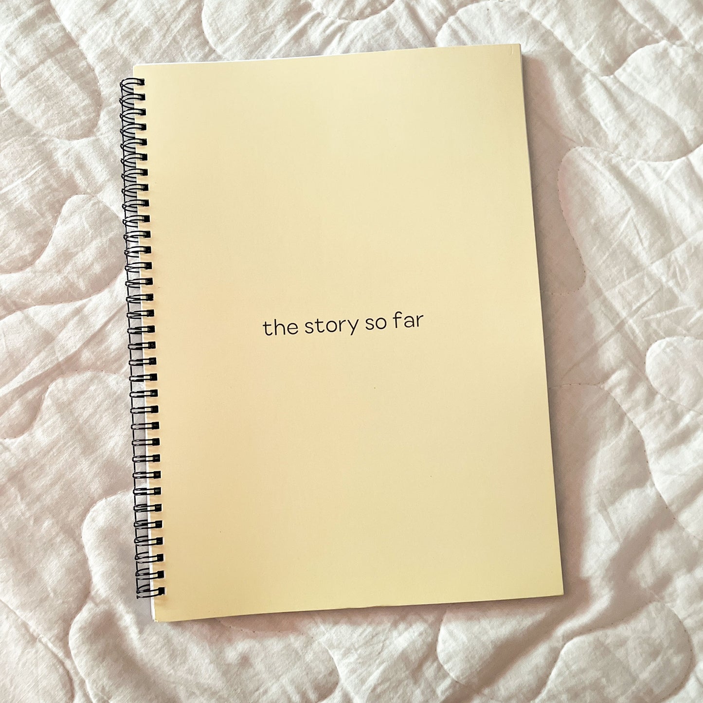 The Story So Far