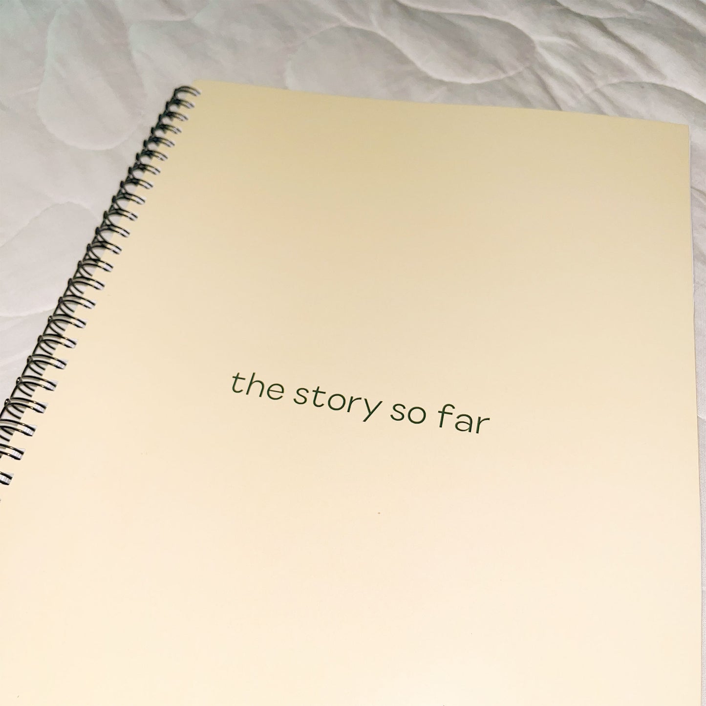 The Story So Far