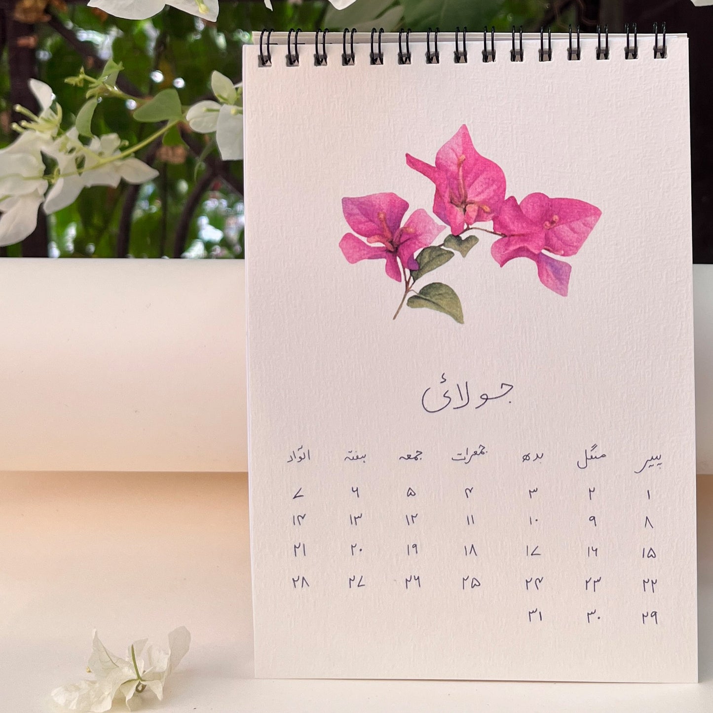 6 Month Calendar - B Grade